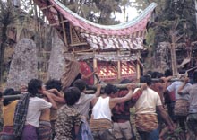遺体を運ぶトラジャ族の人々