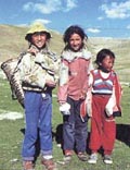 チベット遊牧民の子どもたち