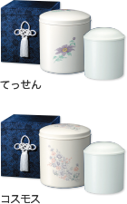 てっせん コスモス